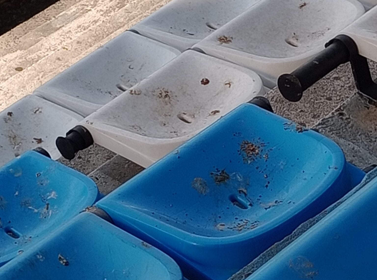 Racing campo de juego